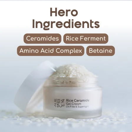 Key ingredients of the rice gel cream with ceramides. Key ingredients of the rice gel cream with ceramides