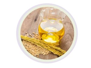 rice bran oil