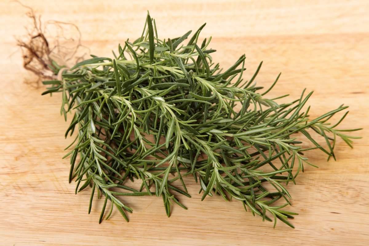 rosemary for hair